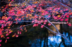 丝瓜视频二维码下载示意